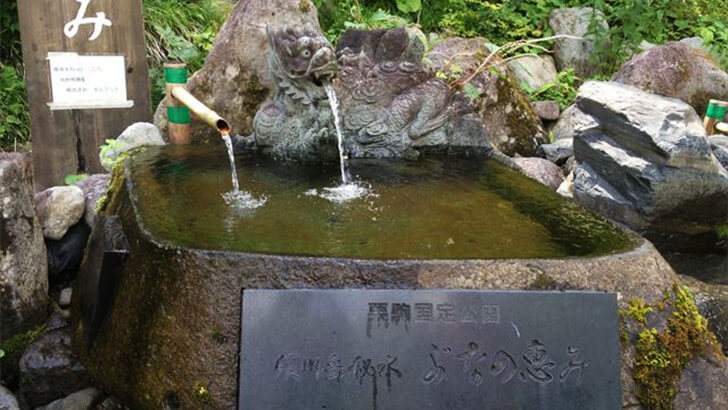 須川岳秘水ブナの恵み