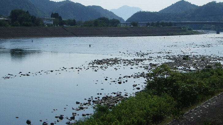 長良川（中流域）