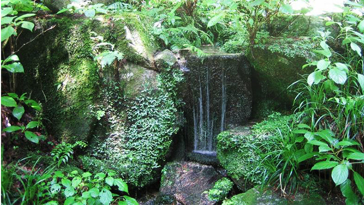 猿庫の泉