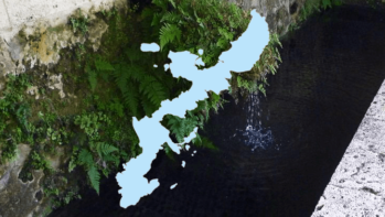 琉球の自然が育んだ【沖縄県の名水】2カ所をご紹介～名水百選より～
