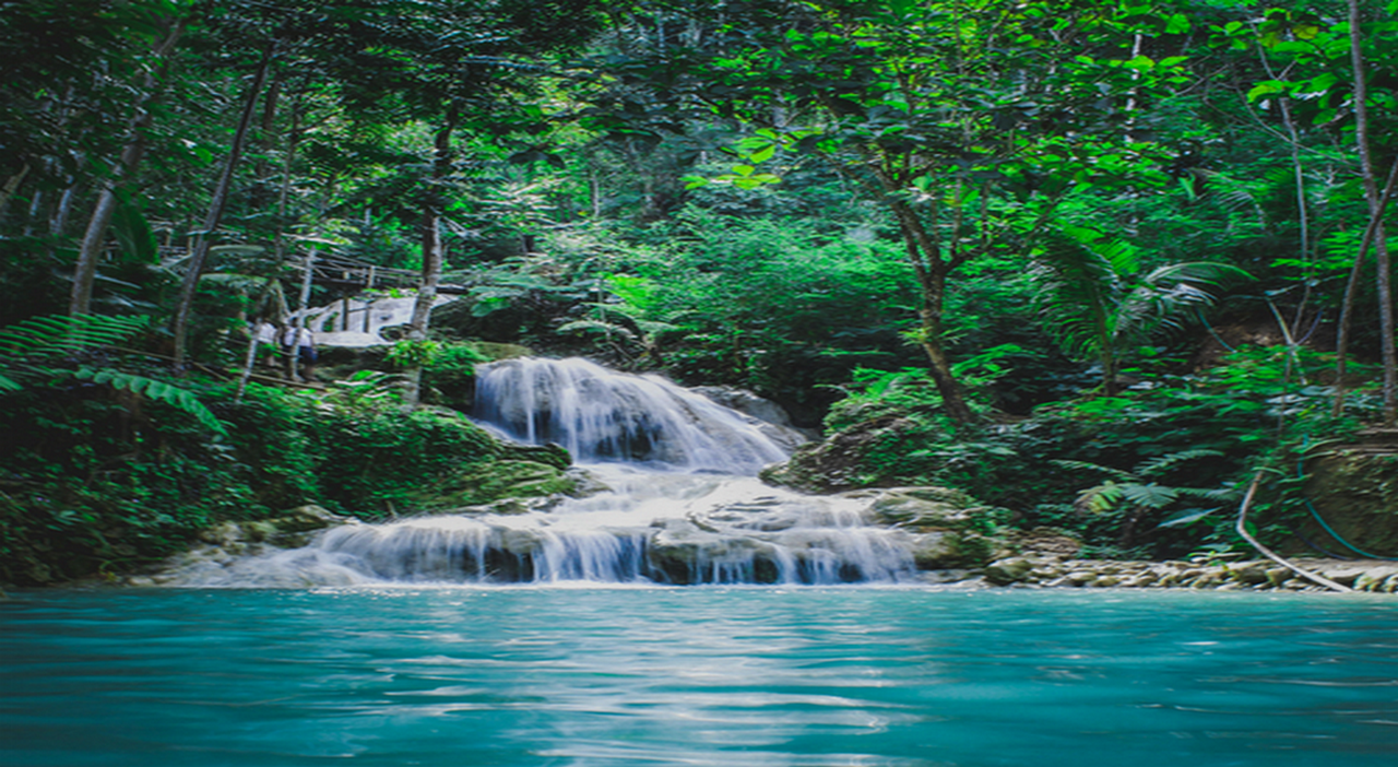 天然水の定義