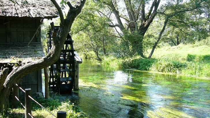 大王わさび農場の水車小屋とわさび田