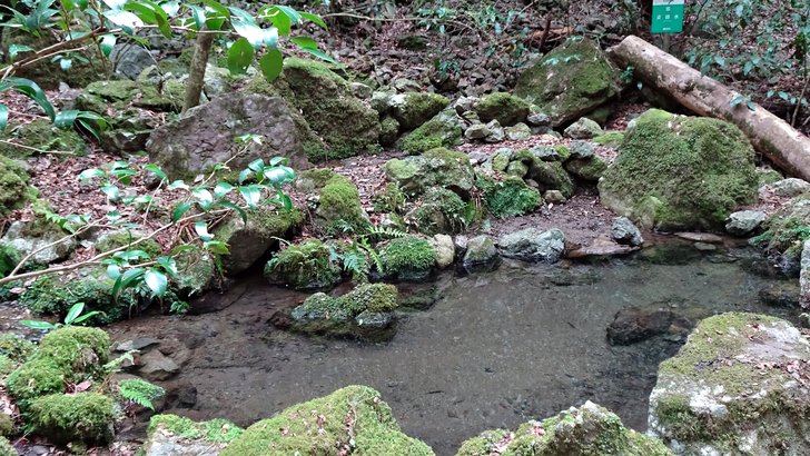 森の中で岩と苔にかこまれて湧き出している湧水の池