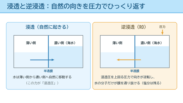 半透膜を挟んだ容器を左右に並べ、浸透では水が薄い側から濃い側へ動き、逆浸透では圧力で向きが逆転して水だけが通り抜けることを示した図