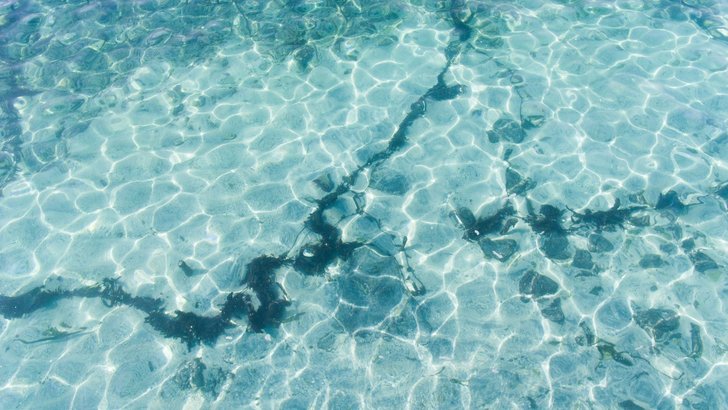 澄んだ浅い海の水を通して見える、波紋の模様がついた海底の砂