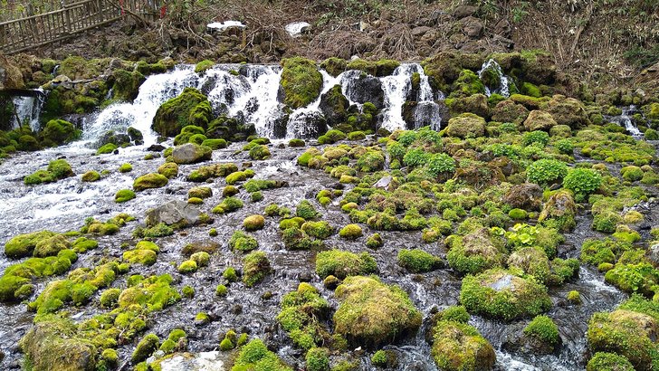 苔むした岩の間を勢いよく流れ落ちる湧水