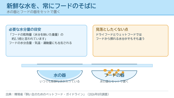 水の器とフードの器を並べて置いた様子と、必要な水分量がフードの乾物量の約2.5倍とされることを描いたイラスト
