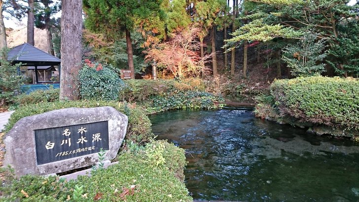 白川水源の湧水池と石碑、周囲の木立