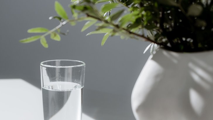 白いテーブルに置かれた、水の入った透明なグラスと観葉植物