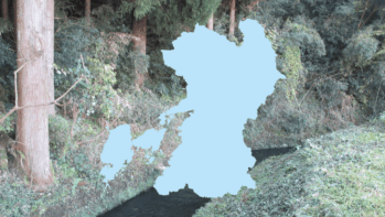 熊本県の地図輪郭を重ねた採水地シリーズのアイキャッチ。背景は南阿蘇村を流れる河陰用水と杉木立