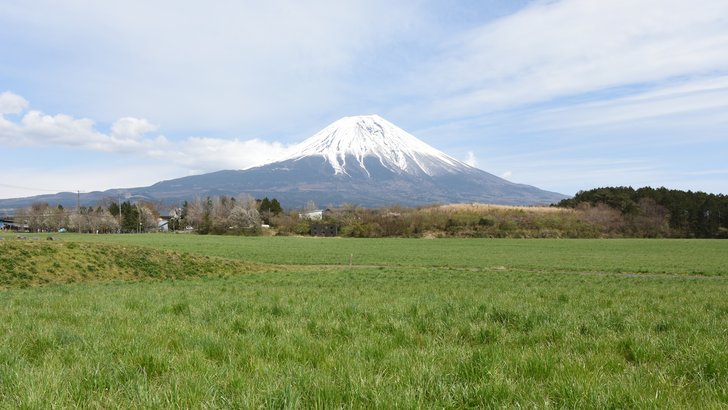 朝霧高原の緑の草原と、その向こうにそびえる雪をかぶった富士山