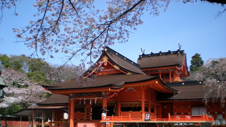 富士山本宮浅間大社の本殿。二層の楼閣造りの社殿と桜