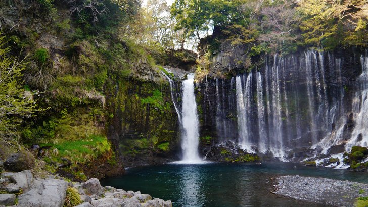 富士宮市の白糸ノ滝。湾曲した絶壁の岩肌から、無数の細い滝が糸のように流れ落ちる