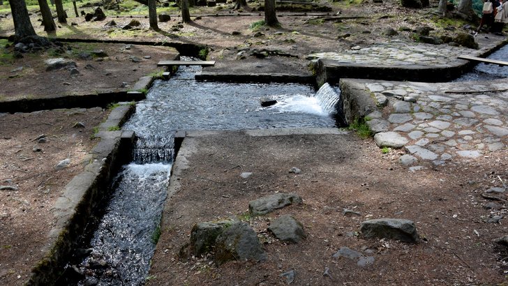 三分一湧水の石組みの分水路。湧水が三方向に分けられて流れ出る