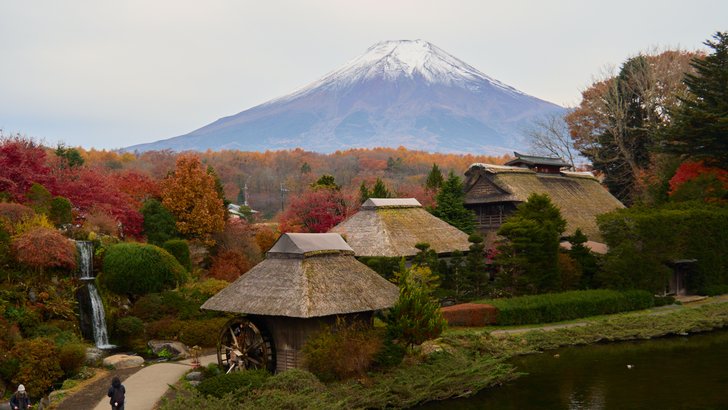 紅葉の忍野八海。茅葺屋根の水車小屋と池、奥に冠雪した富士山