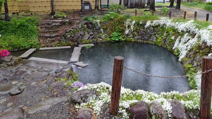 秋田県美郷町六郷の御台所清水。石積みで囲われた湧水池のまわりに白い草花が咲いている