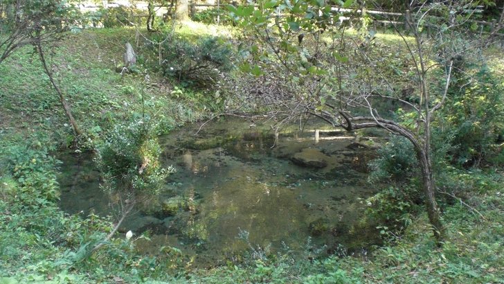 塩釜の冷泉(岡山県真庭市蒜山)の湧水池