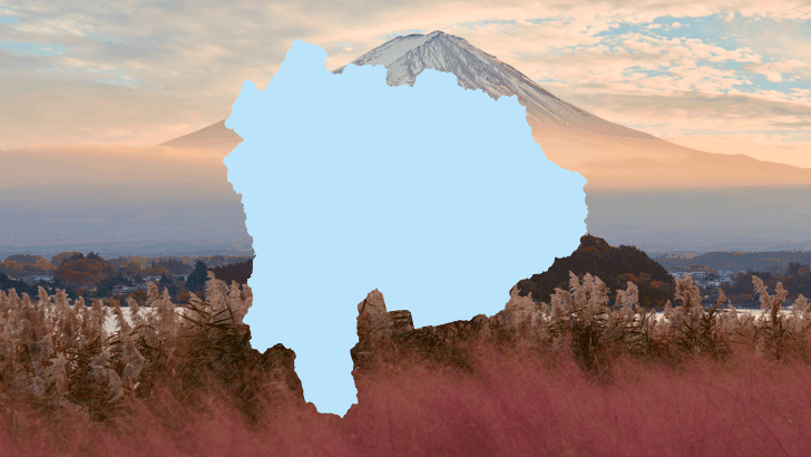 山梨県の形のシルエットと、河口湖畔から見た富士山とピンクのススキの原