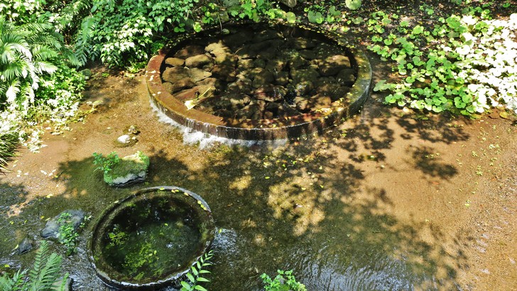 柿田川公園の湧き間。木の枠で囲まれた円い湧き間から澄んだ水があふれ、砂の底の浅い流れになっている